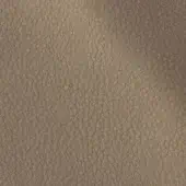 2434827 - NOCCIOLA